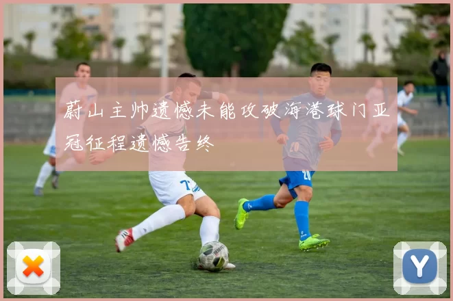 蔚山主帅遗憾未能攻破海港球门亚冠征程遗憾告终
